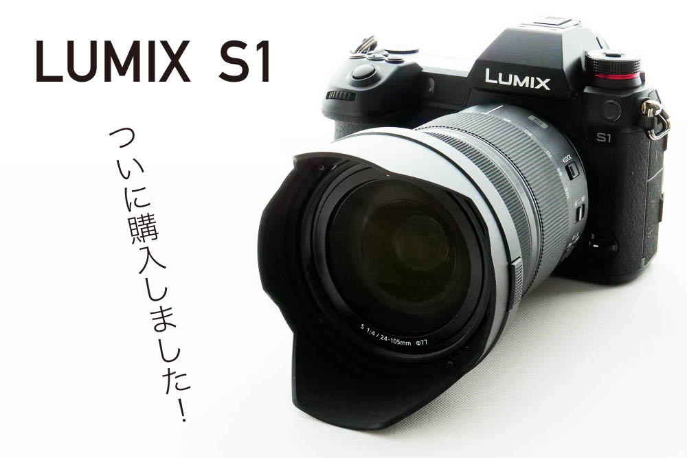 ファーストレビュー Lumix S1 をついに購入 物と音